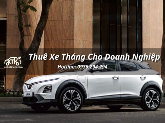 thue xe thang cho doanh nghiep 9