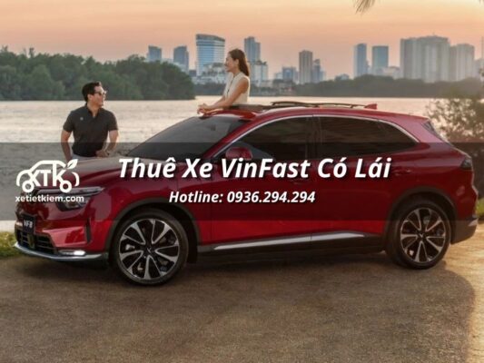 thue xe vinfast co lai 9